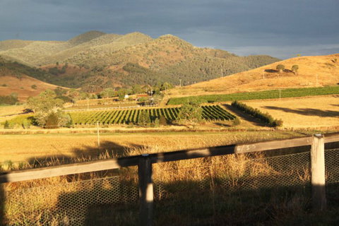 Optimiste Wines - Tourism Bookings 0