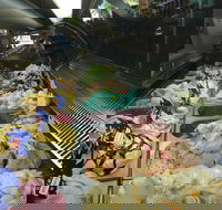 Sweetness Your Lolly Shop and Gelato - Events Australia