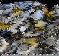 View 42o - Events Australia