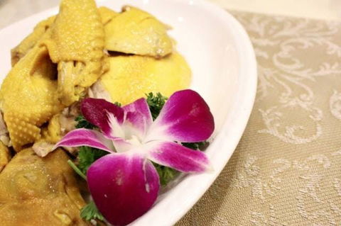 Asian Chef - Accommodation Europe 0