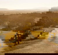 Petersons Wines - Events Australia