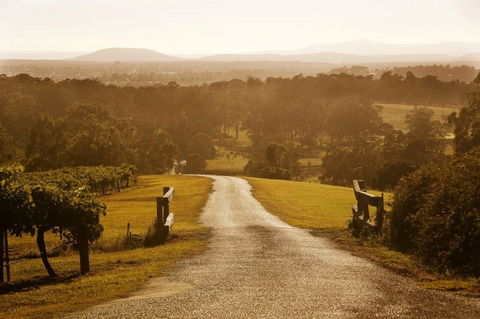 Petersons Wines - Events Australia 0