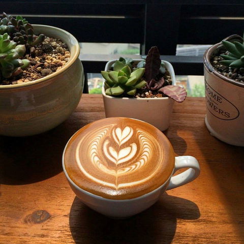 V Espresso - Tourism Bookings 0