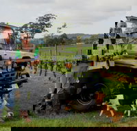 Brook Eden Vineyard - Events Australia