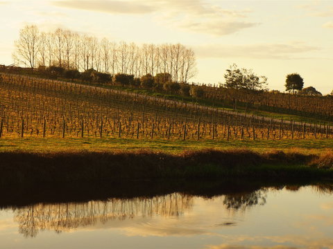 Brook Eden Vineyard - Events Australia 1
