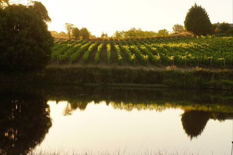 Brook Eden Vineyard - Events Australia 2