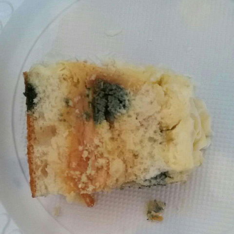 Central Patisseries - Tourism Bookings 0