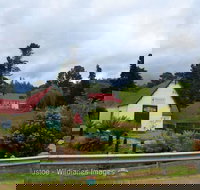 Frank's Cider House  and Cafe - Events Australia