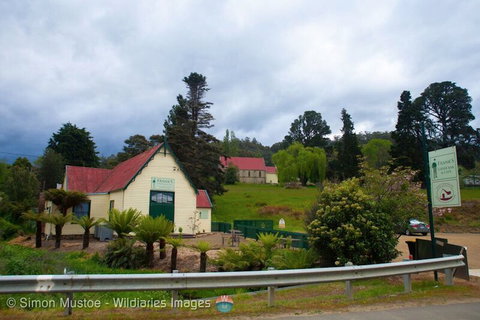 Frank's Cider House  And Cafe - Events Australia 0