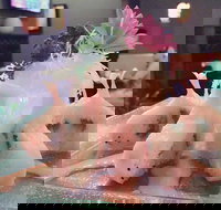 Fusion Wok - Events Australia