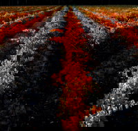 Sandhurst Ridge - Events Australia