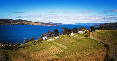 Anim Wine - Events Australia 0