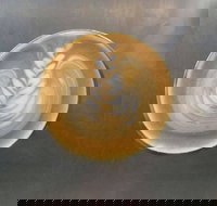 Aussie Bites Cafe - Events Australia