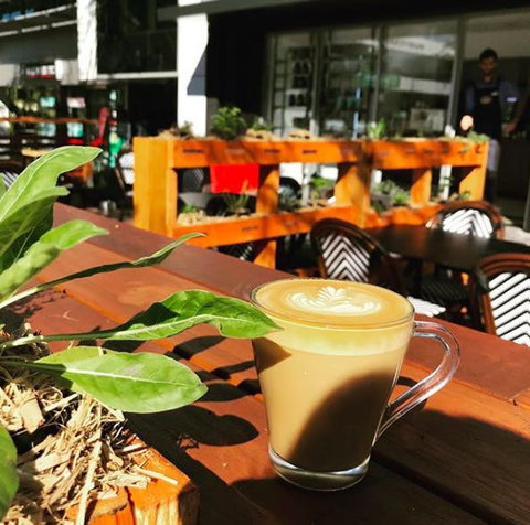 Apothecafe - Events Australia 0