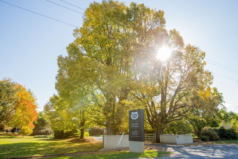 Brown Brothers Milawa Vineyard - Tourism Bookings 0