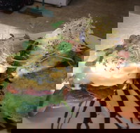 Cafe in the Mountains - Events Australia