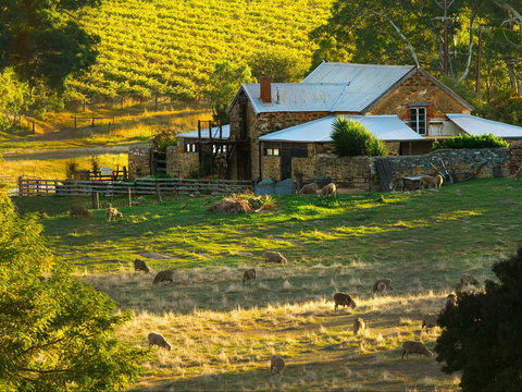 Hutton Vale Farm - Events Australia 1