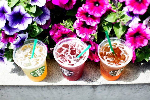 Starbucks - Haymarket - Tourism Bookings 0