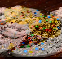 The Pretzel Shop - Events Australia