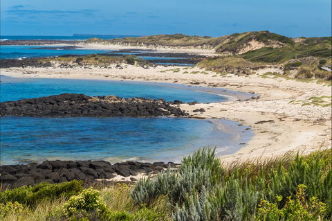 Time And Tide Tearoom - Events Australia 2