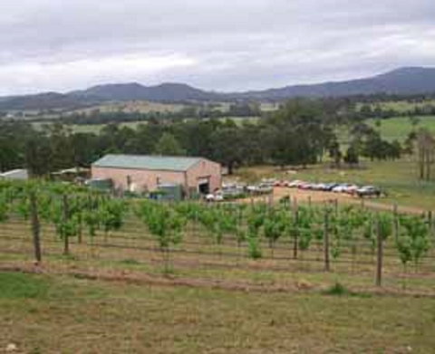 Villa D Esta Vineyard - Events Australia 0