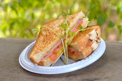 Wangi Falls Cafe - Tourism Bookings 2