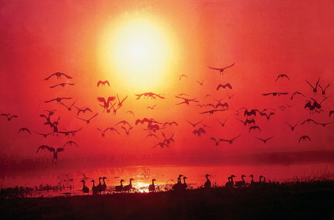 Exotic North Indian Cuisine - Events Australia 0