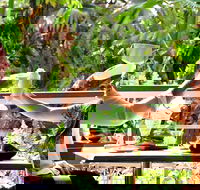 Jaques Coffee Plantation - Events Australia