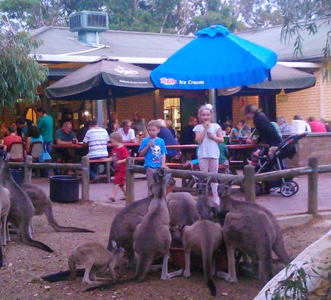 John Forrest Tavern - Events Australia 1