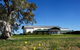 Majella Wines - thumb 1