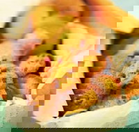 Mrs. Fields - Narre Warren - Events Australia