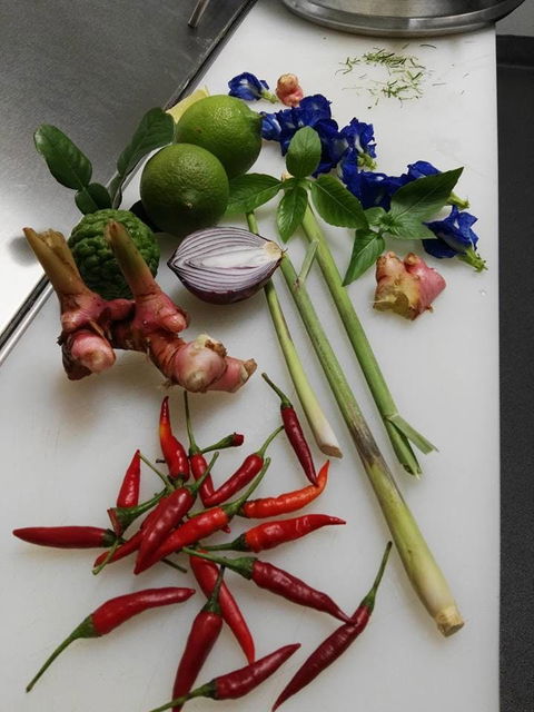 Thai Sensation - Events Australia 0