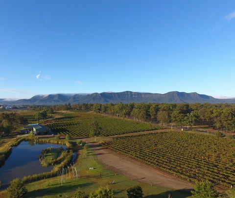 Mistletoe Winery - Tourism Bookings 0