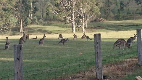 Mistletoe Winery - Tourism Bookings 1
