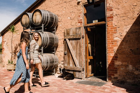 Shingleback Wine - Accommodation Europe 1