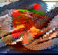 Wantirna Club - Events Australia