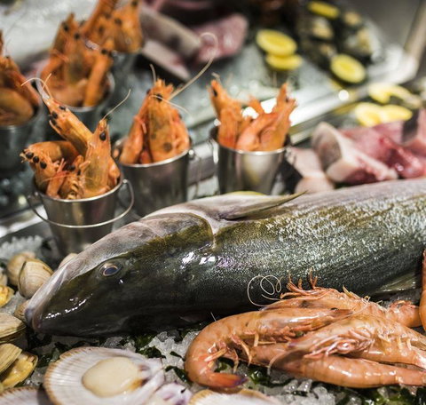 Lure - Events Australia 11