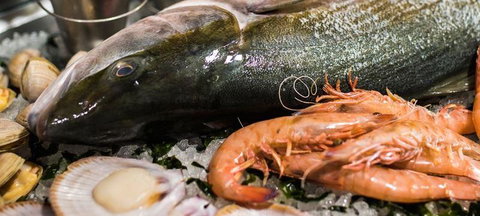 Lure - Events Australia 2