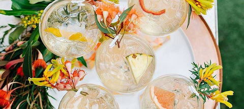 Campari House - Tourism Bookings 2