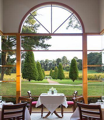 Linden Tree At Lindenderry - Events Australia 10