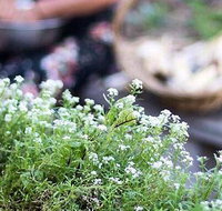 Pascoe Vale RSL - Events Australia