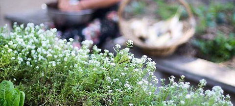 Pascoe Vale RSL - Events Australia 0