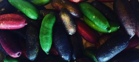 Pascoe Vale RSL - Events Australia 3