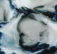 Wheelers Seafood Restaurant - Events Australia