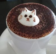 Cafe 2340 - Accommodation Europe