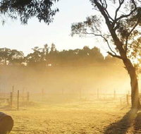 Spot Pea - Events Australia