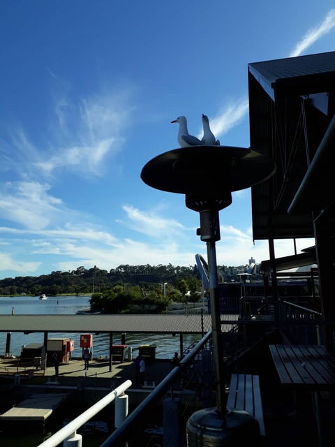 Annalakshmi On The Swan - Events Australia 2