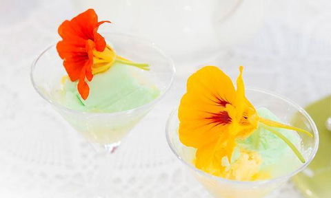 Ducks In The Field - Events Australia 3