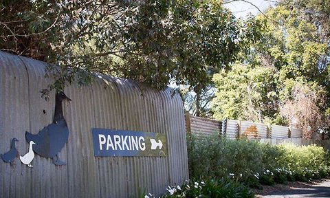 Ducks In The Field - Events Australia 4