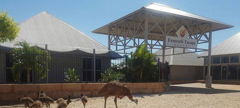 Papou's Kitchen Cafe - Events Australia 0